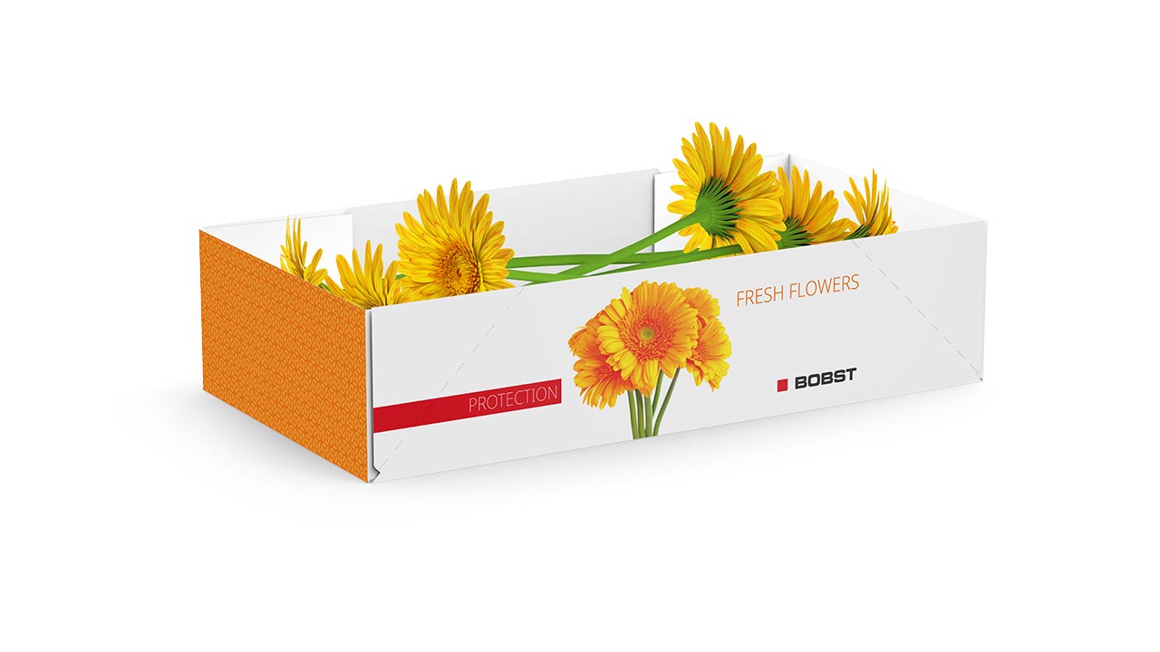 Demo Packaging Gallery